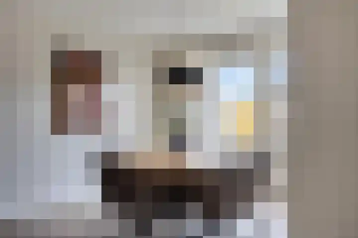 Julianalaan 1 Dodewaard thumbnail 12