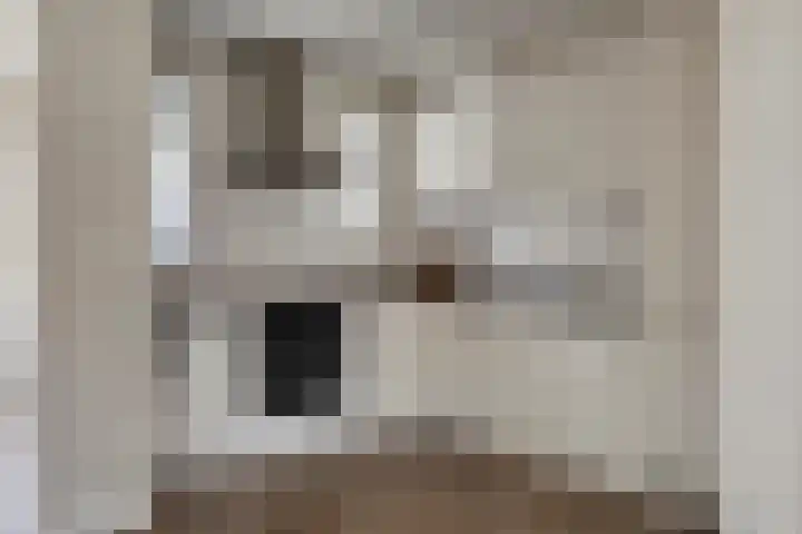 Julianalaan 1 Dodewaard thumbnail 15