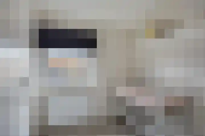 Julianalaan 1 Dodewaard thumbnail 25