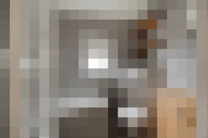 Julianalaan 1 Dodewaard thumbnail 27