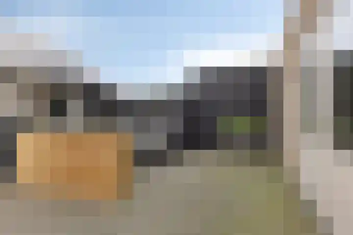 Julianalaan 1 Dodewaard thumbnail 29