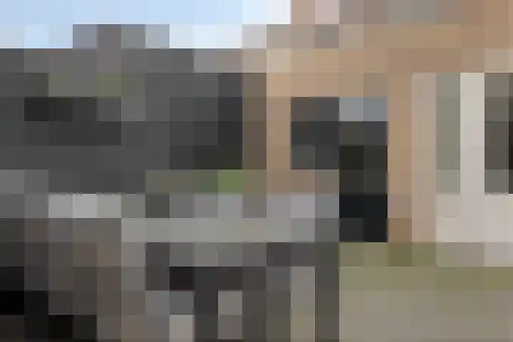 Julianalaan 1 Dodewaard thumbnail 30