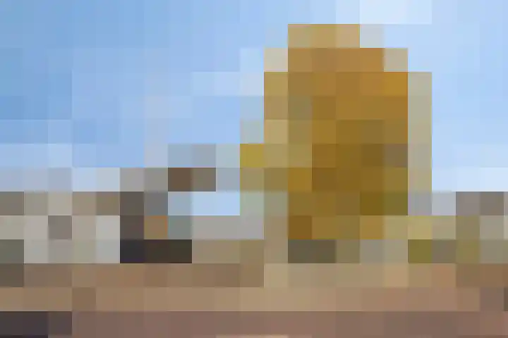 Julianalaan 1 Dodewaard thumbnail 39