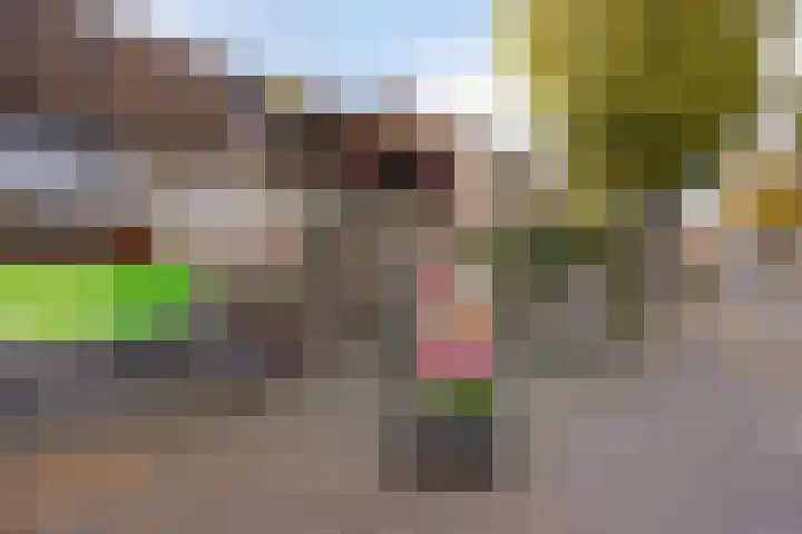 Julianalaan 1 Dodewaard thumbnail 41