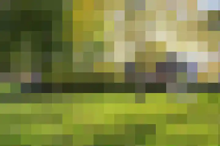 Julianalaan 1 Dodewaard thumbnail 42