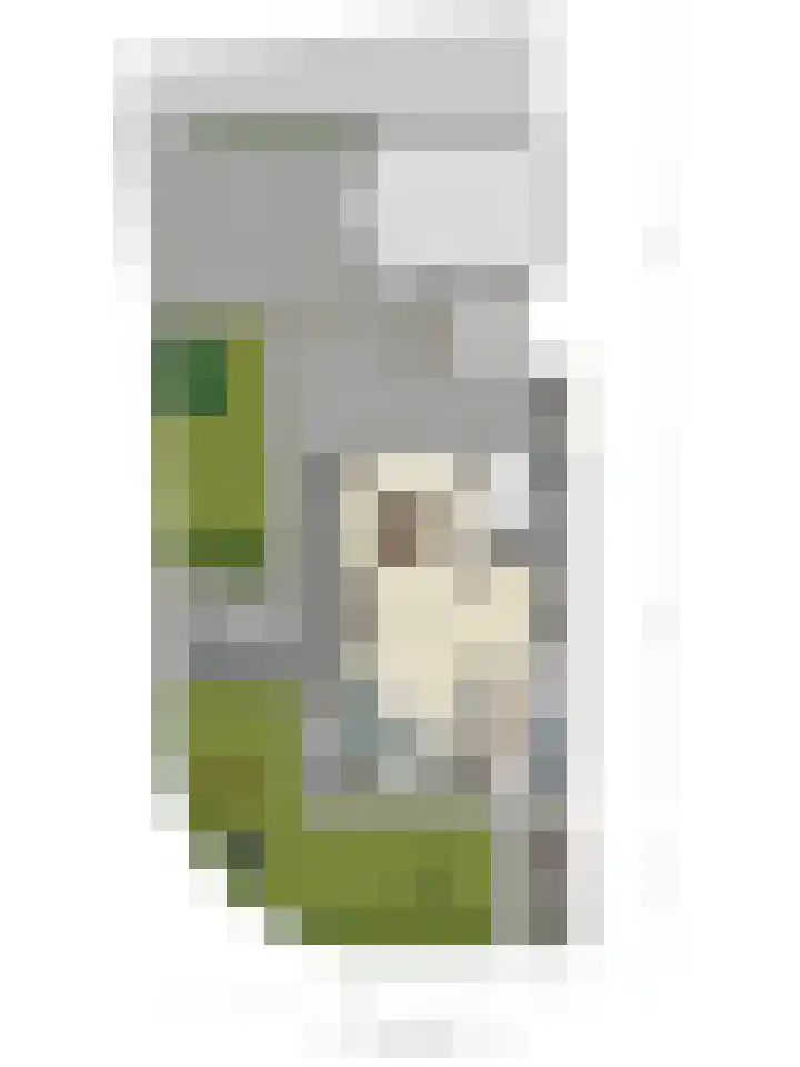 Julianalaan 1 Dodewaard thumbnail 44