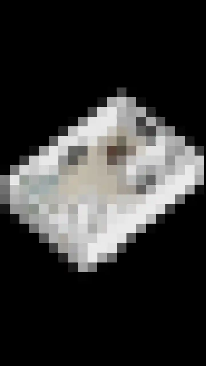 Julianalaan 1 Dodewaard thumbnail 45