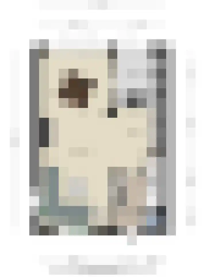 Julianalaan 1 Dodewaard thumbnail 46