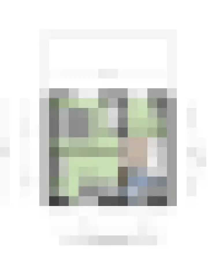 Julianalaan 1 Dodewaard thumbnail 48