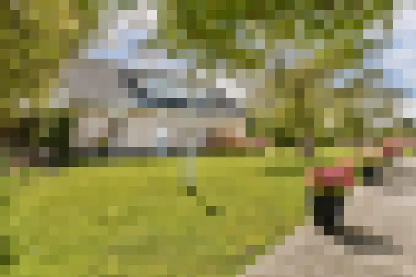 Julianalaan 1 h in Kaag