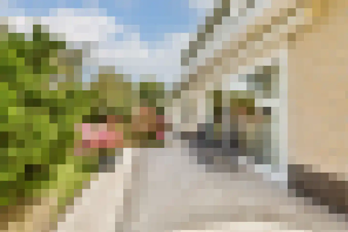 Julianalaan 1 h Kaag thumbnail 28