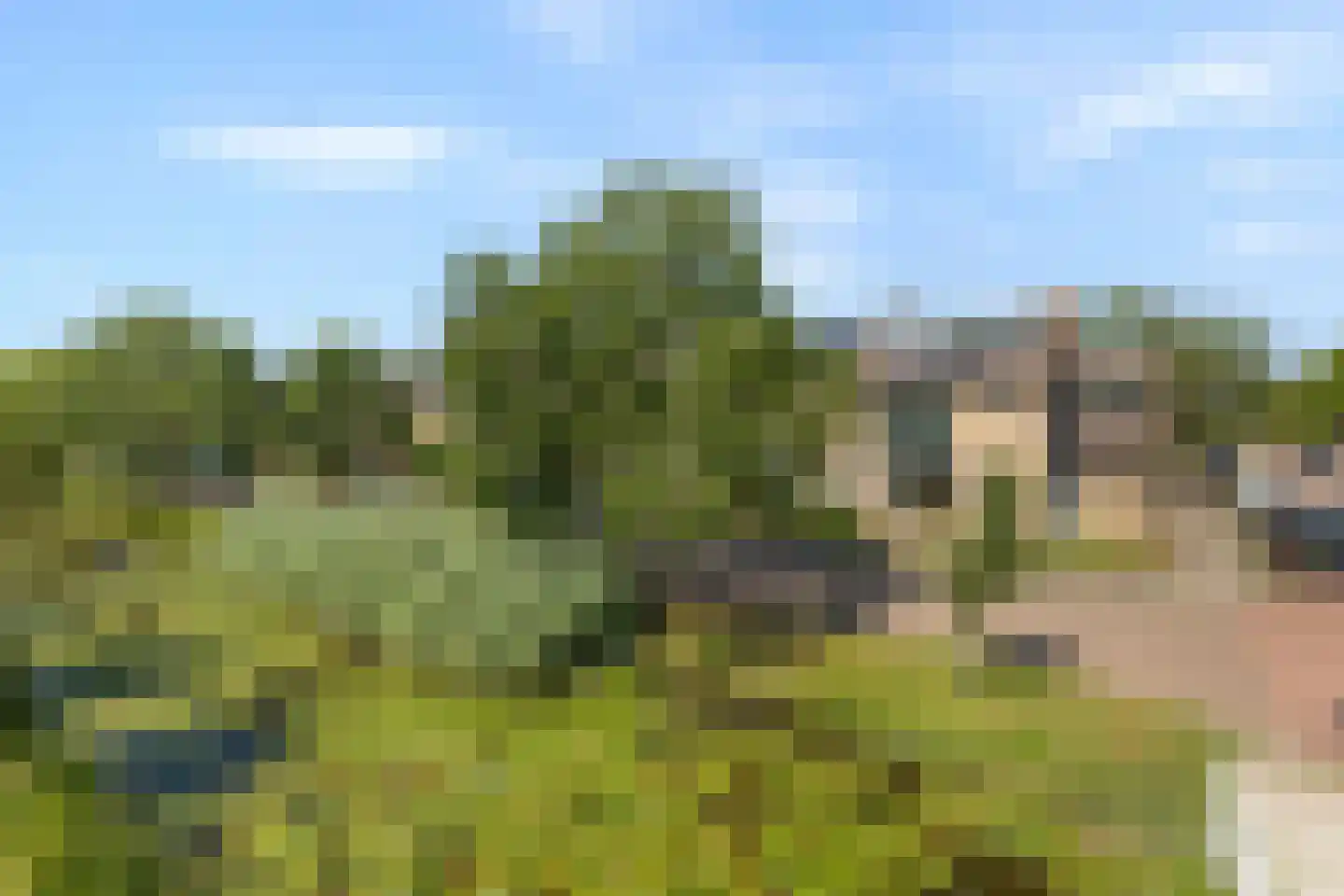 Julianalaan 1 Zegveld
