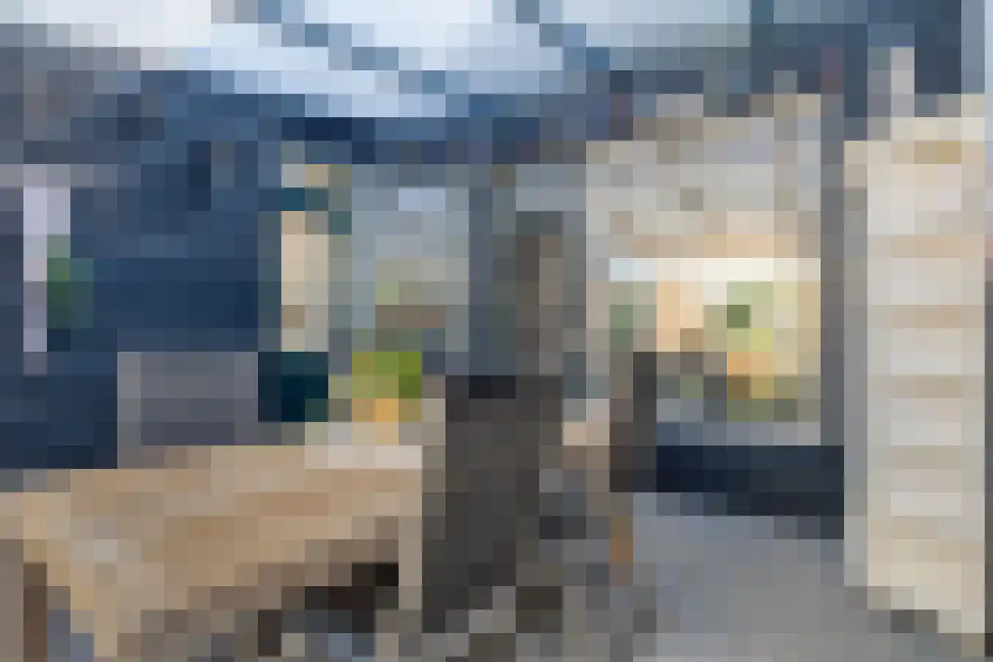 Julianalaan 1 Zegveld thumbnail 12