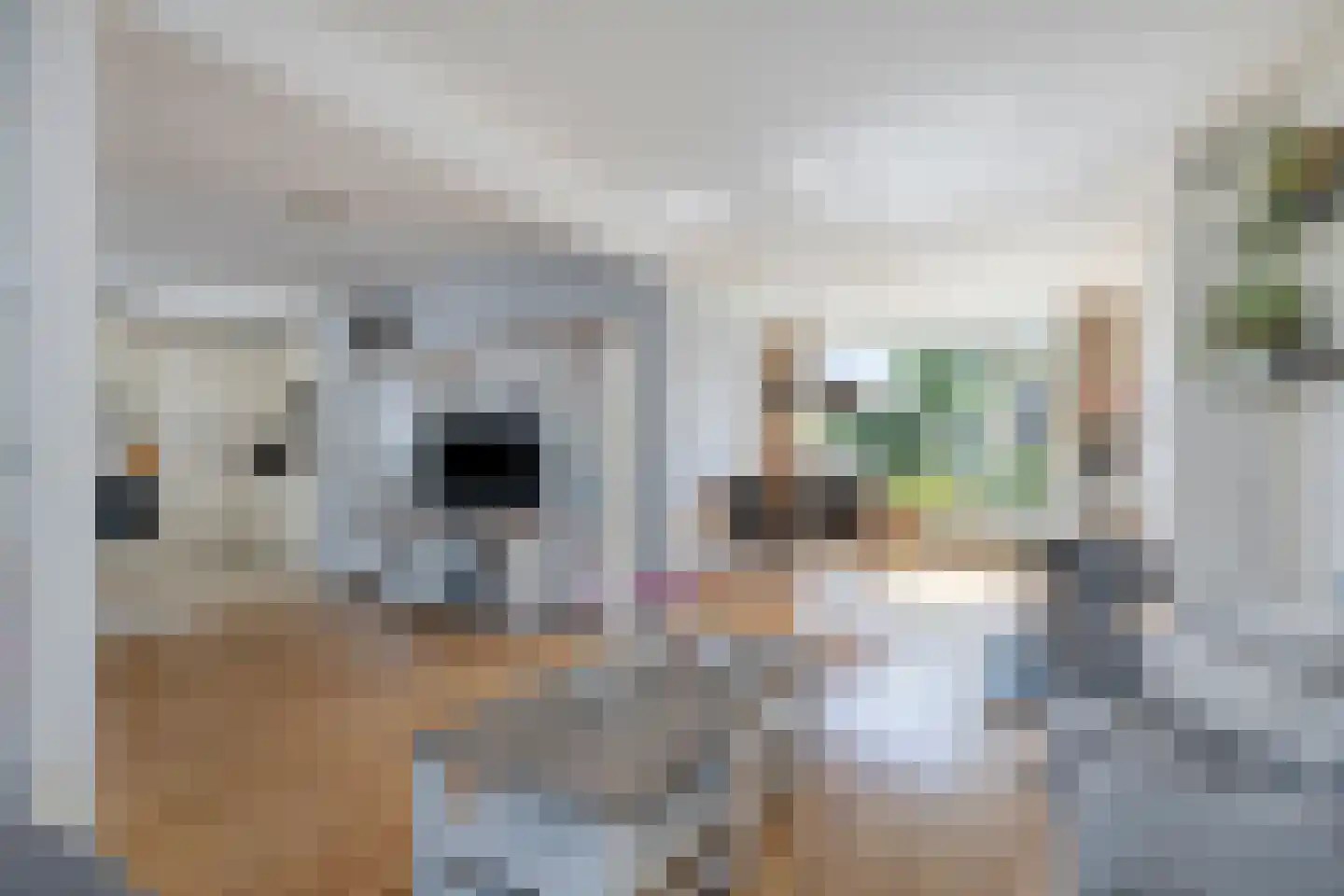 Julianalaan 1 Zegveld thumbnail 13