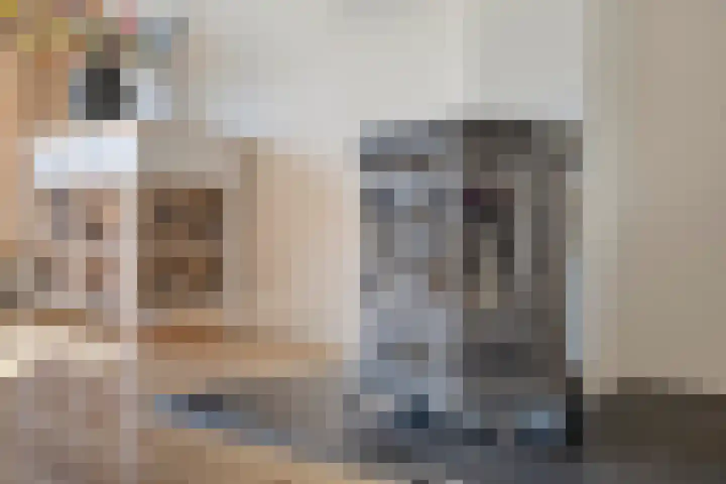 Julianalaan 1 Zegveld thumbnail 15