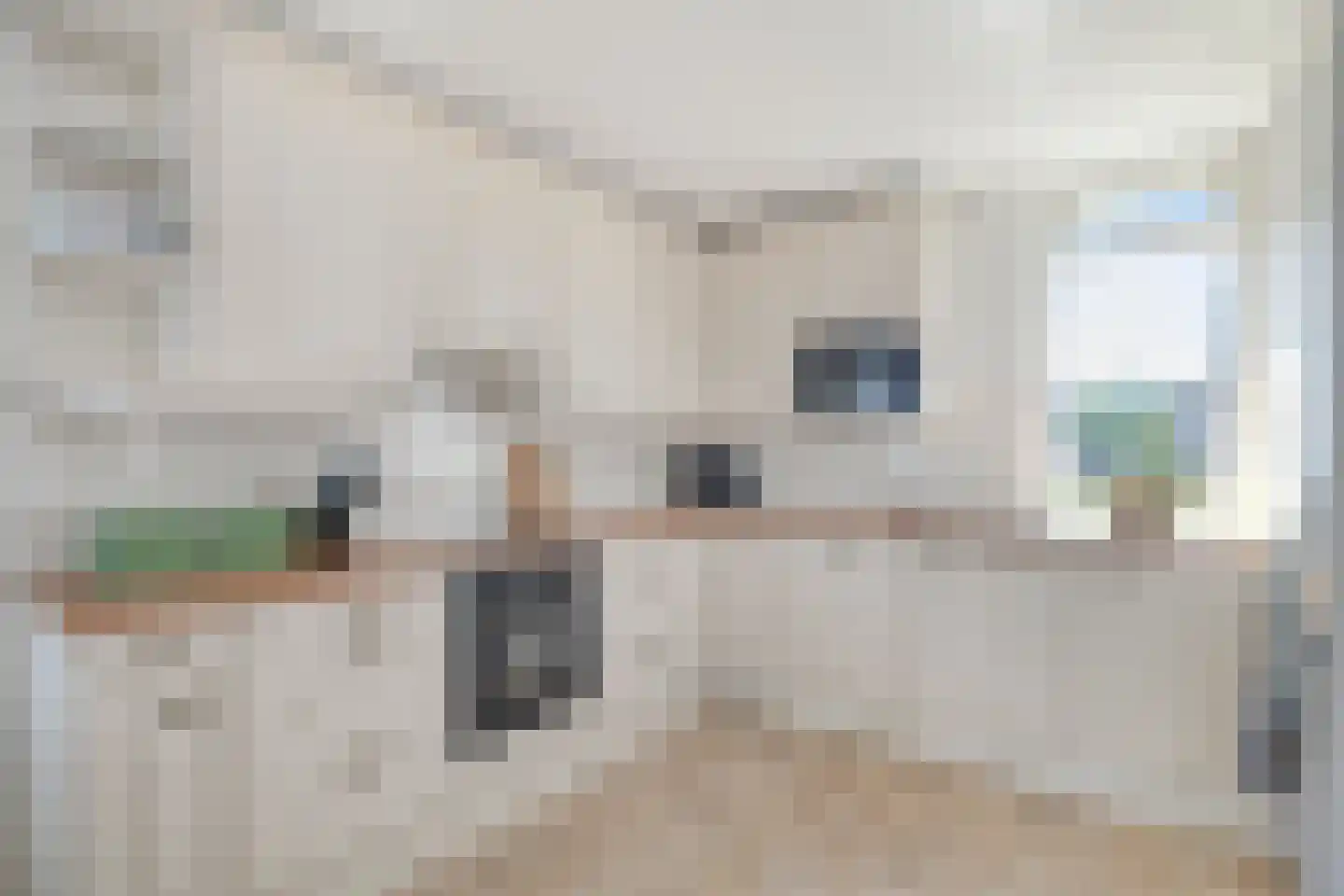 Julianalaan 1 Zegveld thumbnail 17