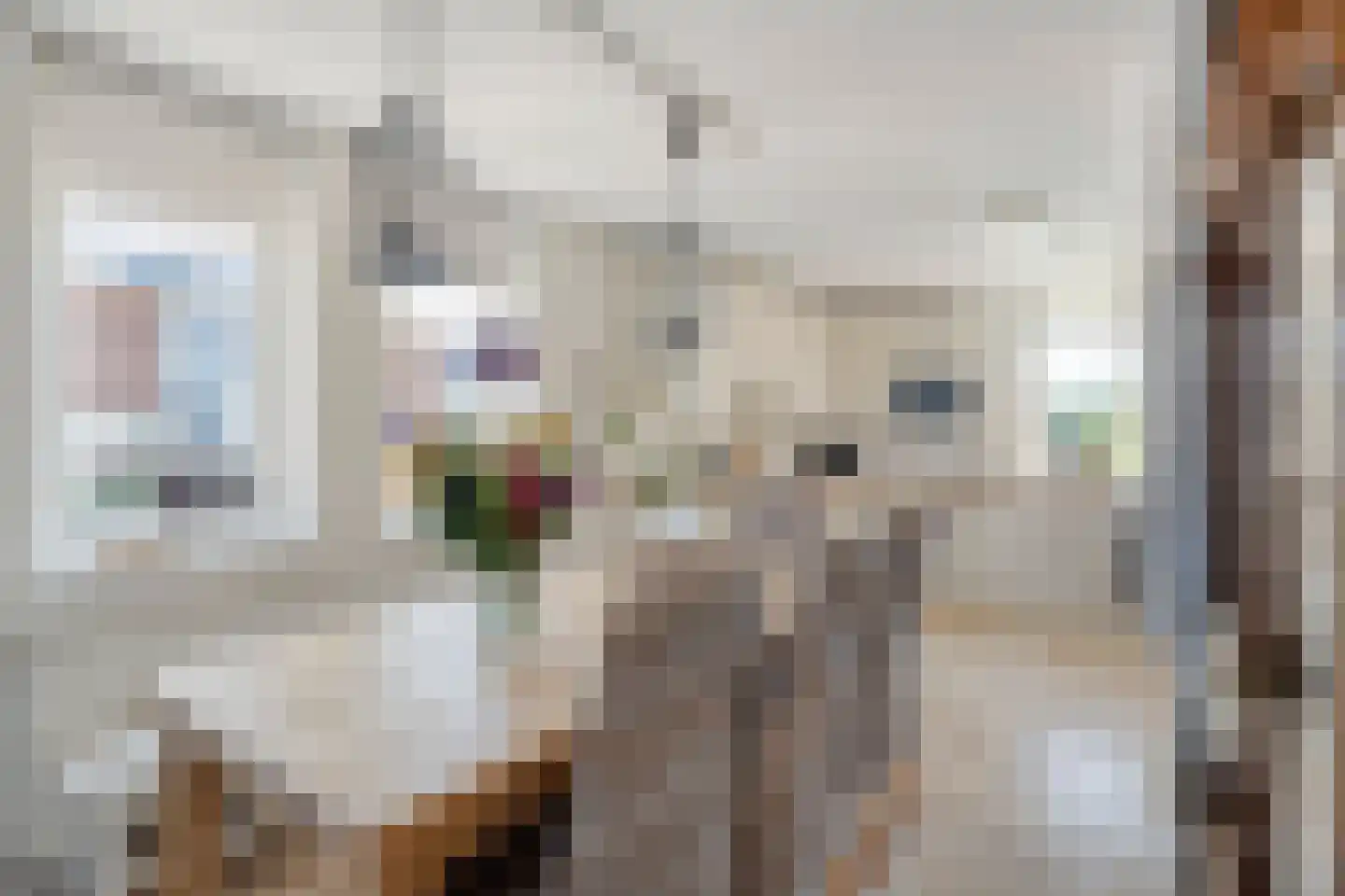 Julianalaan 1 Zegveld thumbnail 19