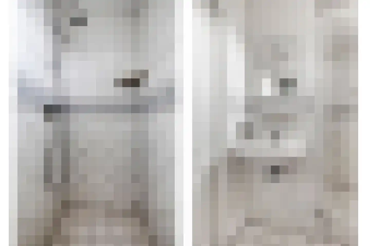 Julianalaan 1 Zegveld thumbnail 30