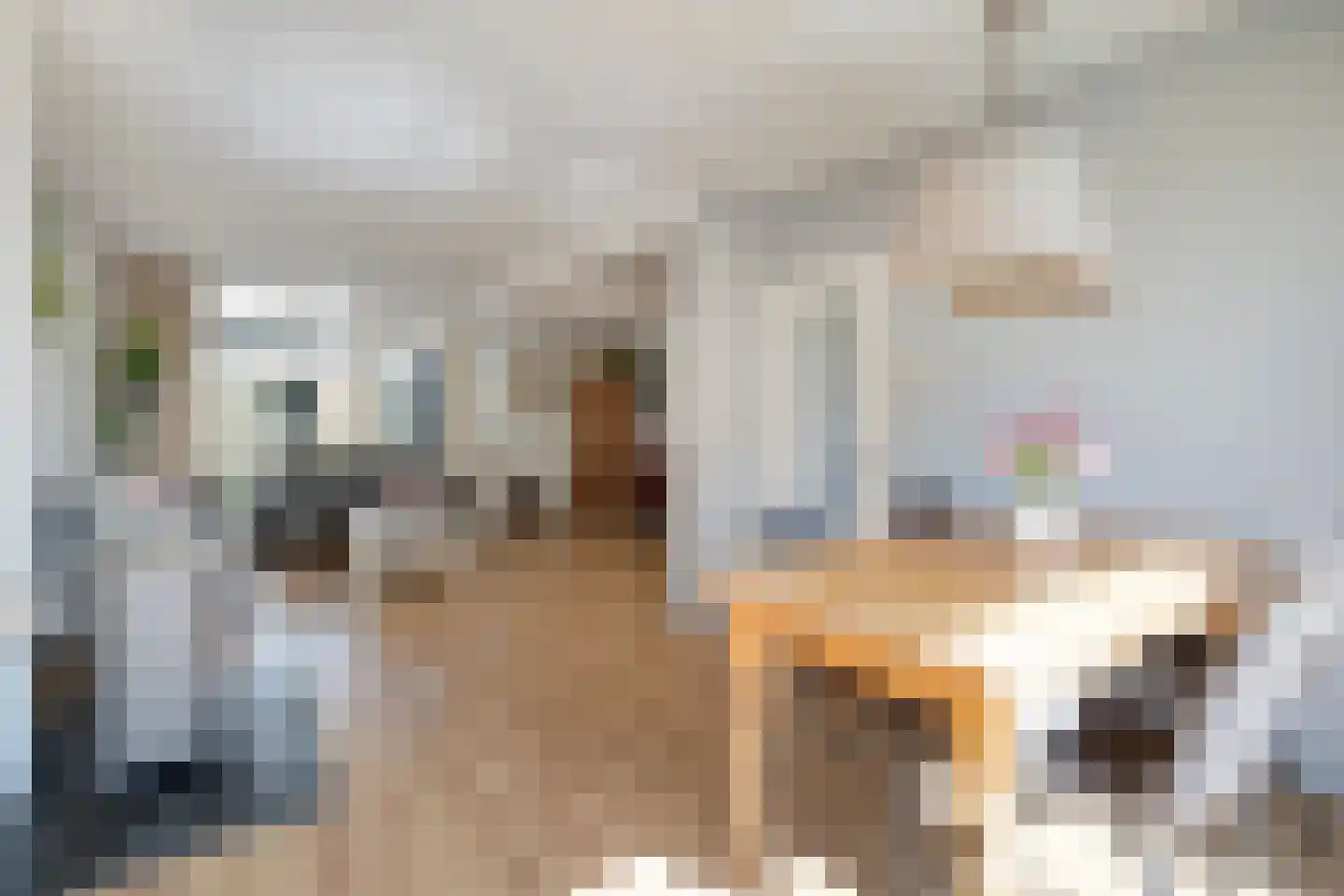Julianalaan 1 Zegveld thumbnail 9