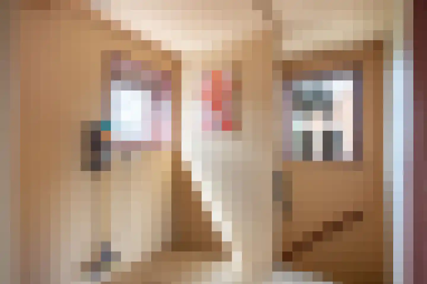 Julianalaan 10 Bedum thumbnail 32