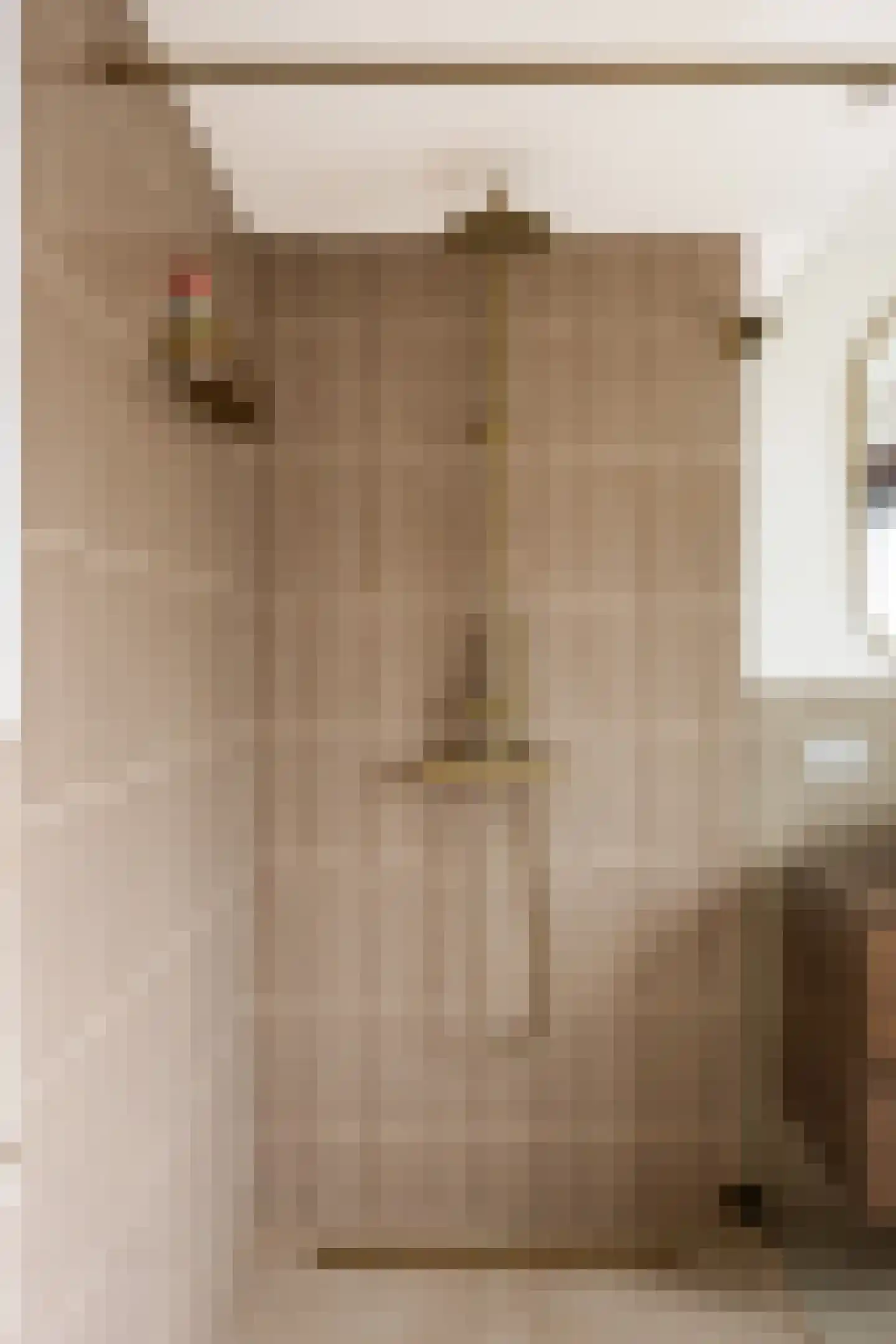 Julianalaan 10 Bedum thumbnail 39