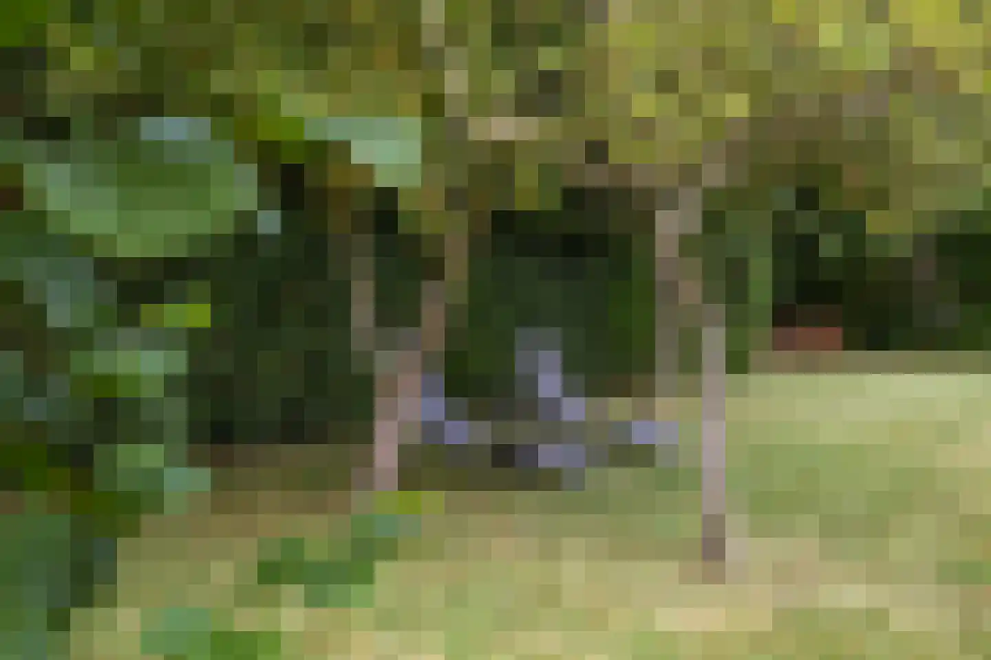 Julianalaan 10 Bedum thumbnail 46