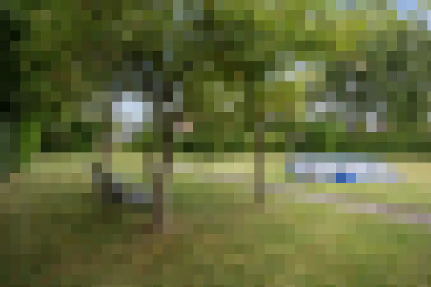 Julianalaan 10 Bedum thumbnail 47