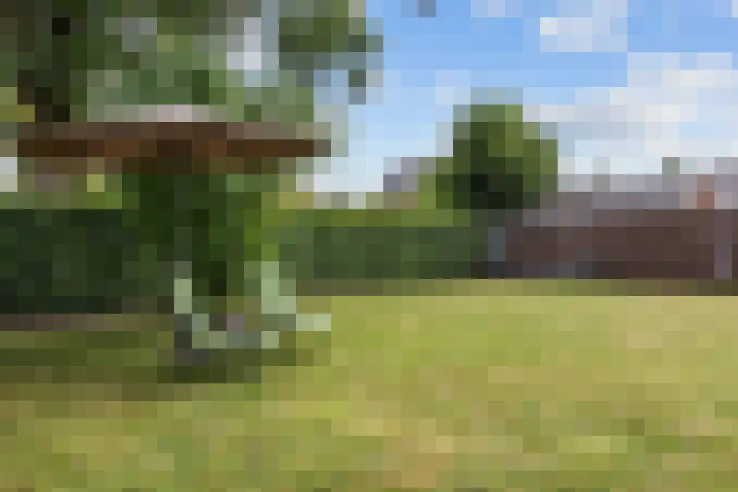 Julianalaan 10 Bedum thumbnail 49