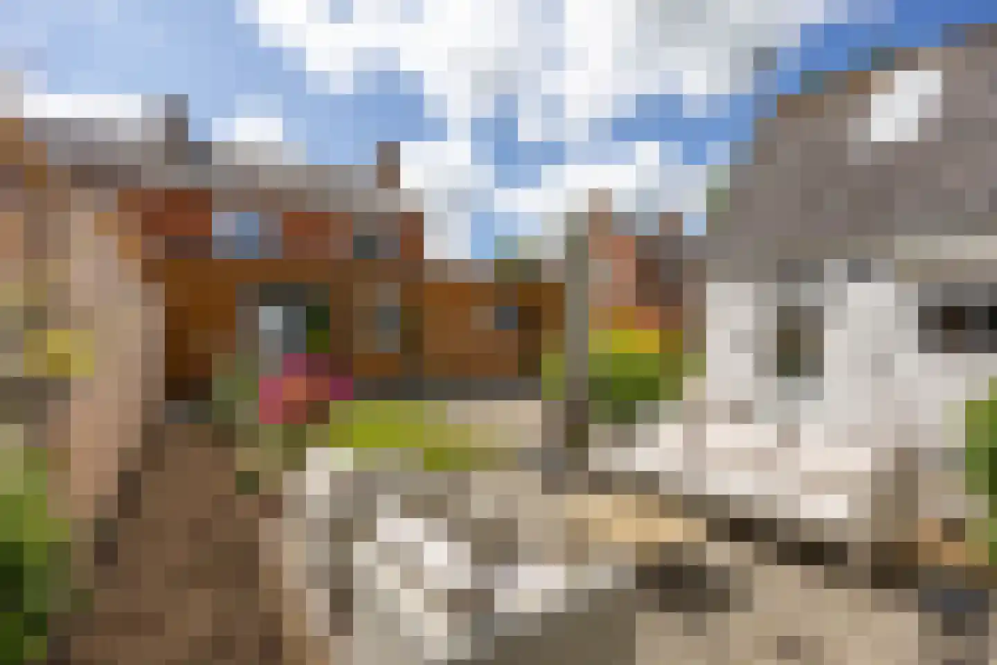 Julianalaan 10 Bedum thumbnail 52
