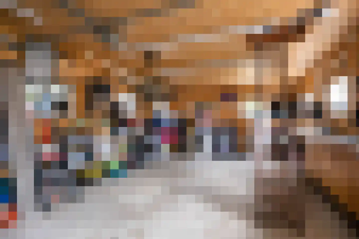 Julianalaan 10 Bedum thumbnail 56