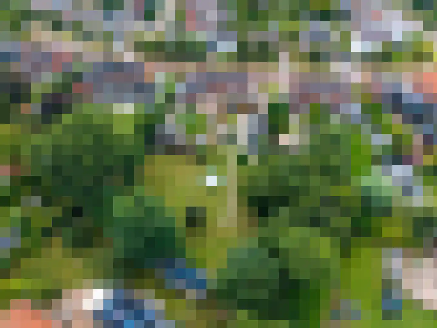 Julianalaan 10 Bedum thumbnail 58