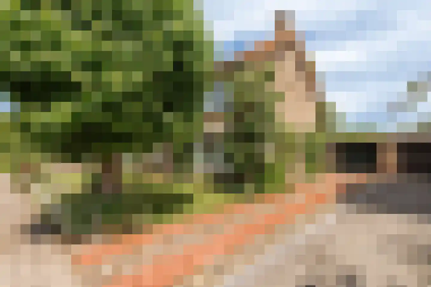 Julianalaan 10 Culemborg thumbnail 30