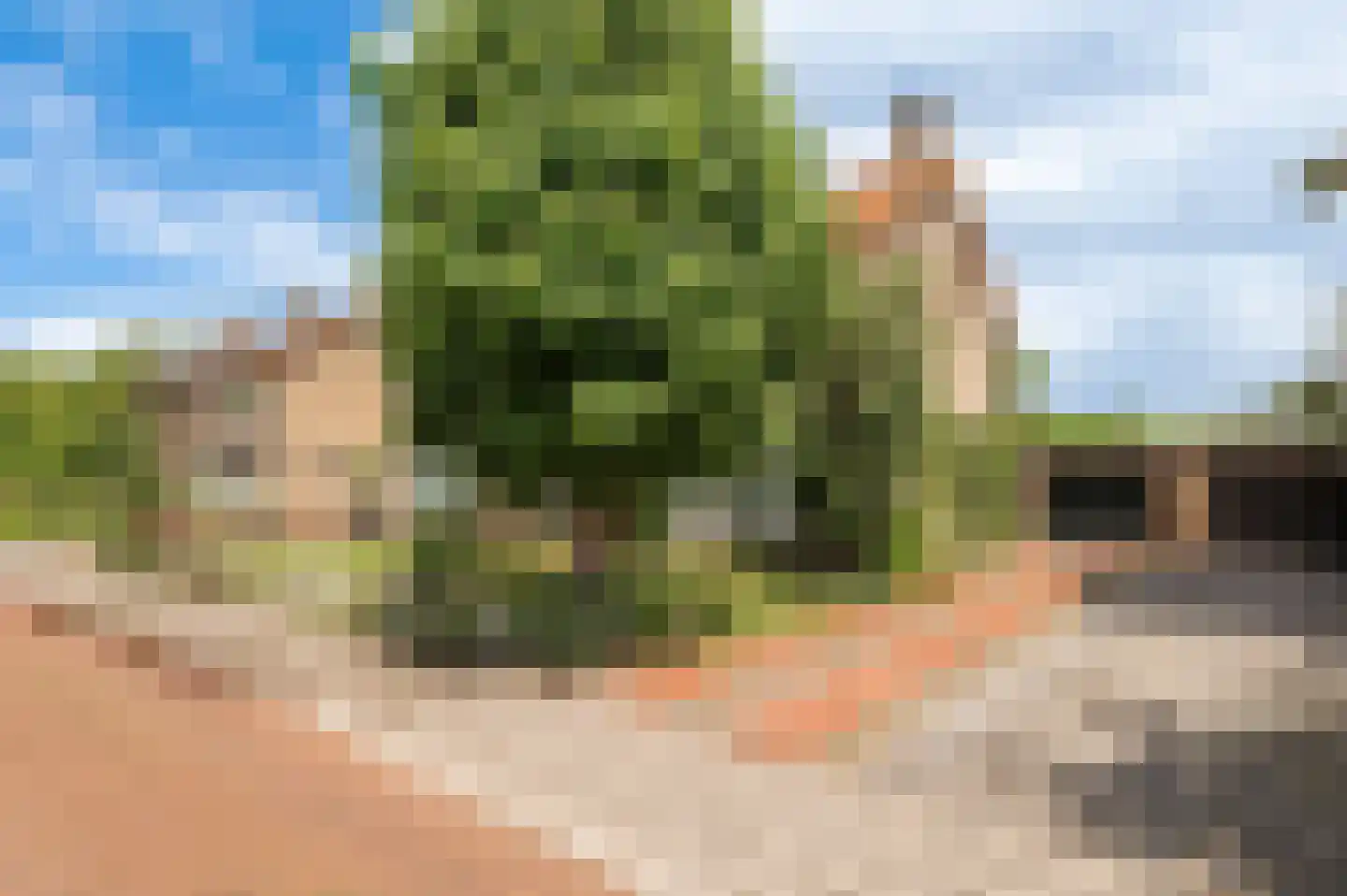 Julianalaan 10 Culemborg thumbnail 31