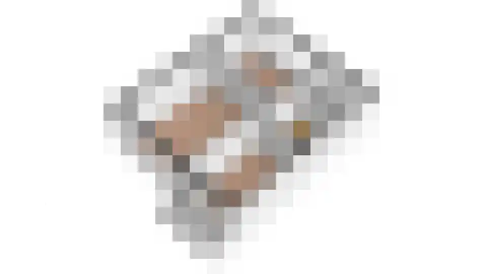 Julianalaan 10 Culemborg thumbnail 36