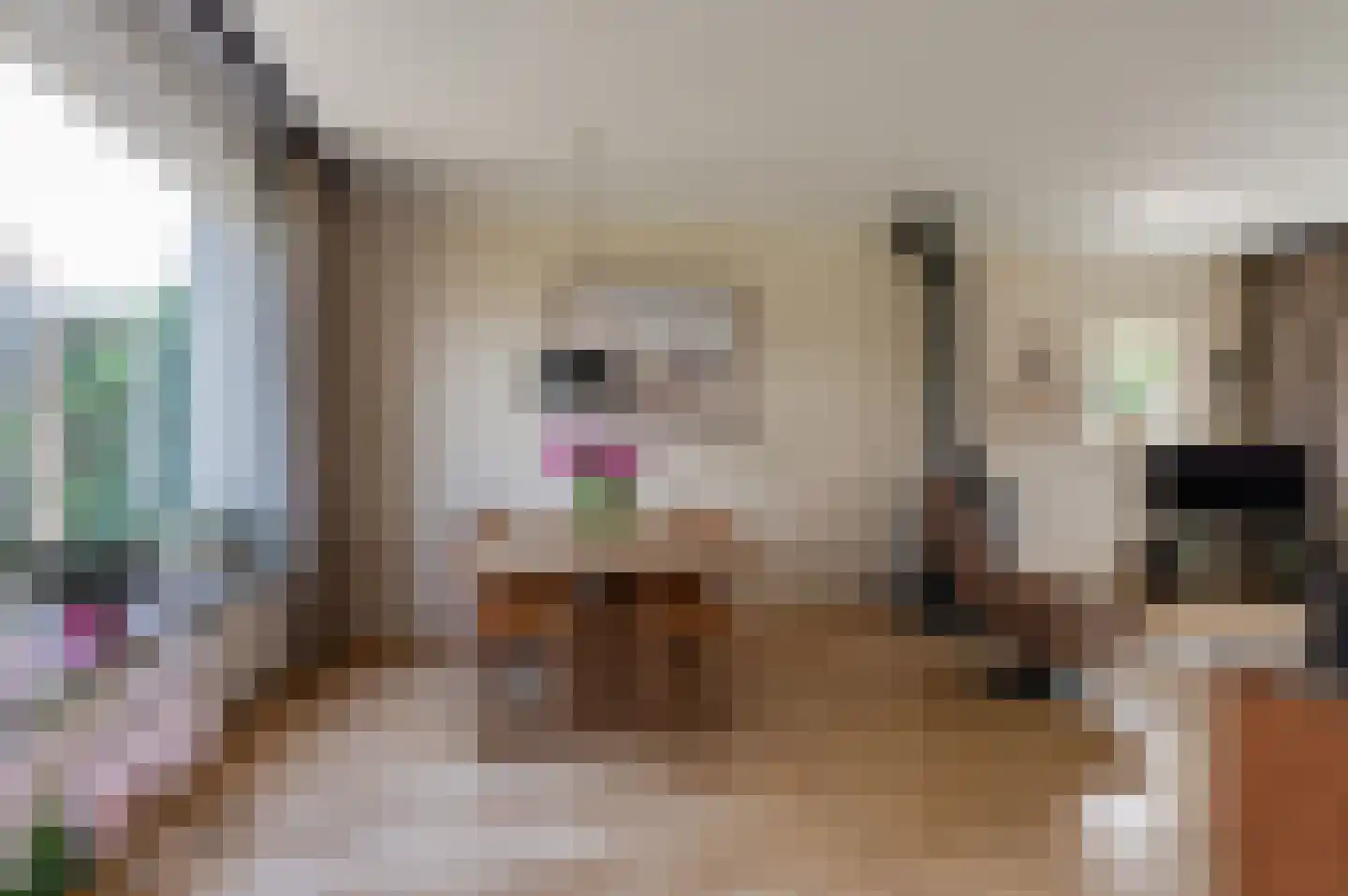 Julianalaan 10 Culemborg thumbnail 8
