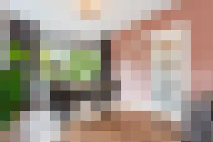 Julianalaan 10 Heerde thumbnail 11