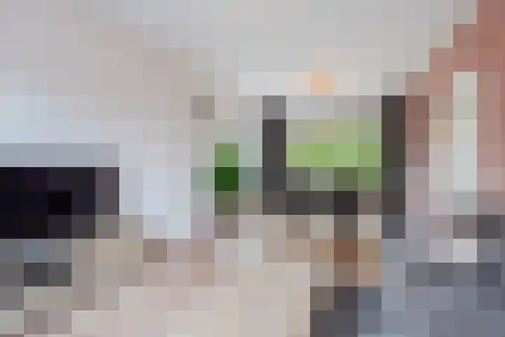 Julianalaan 10 Heerde thumbnail 12