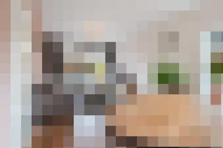 Julianalaan 10 Heerde thumbnail 14