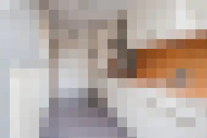 Julianalaan 10 Heerde thumbnail 18