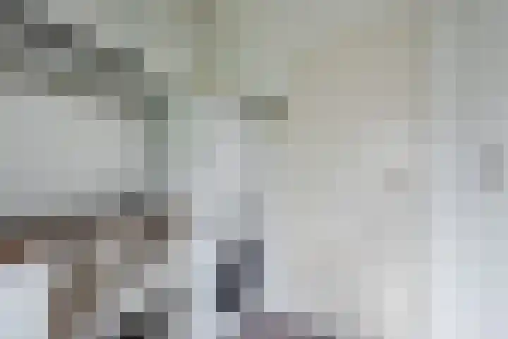 Julianalaan 10 Heerde thumbnail 20