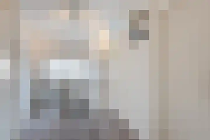 Julianalaan 10 Heerde thumbnail 23