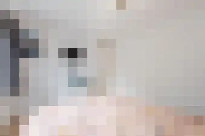 Julianalaan 10 Heerde thumbnail 25