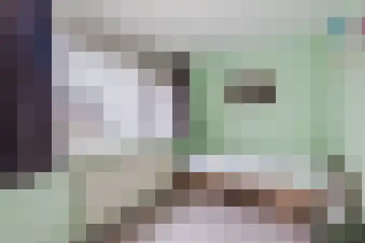 Julianalaan 10 Heerde thumbnail 28