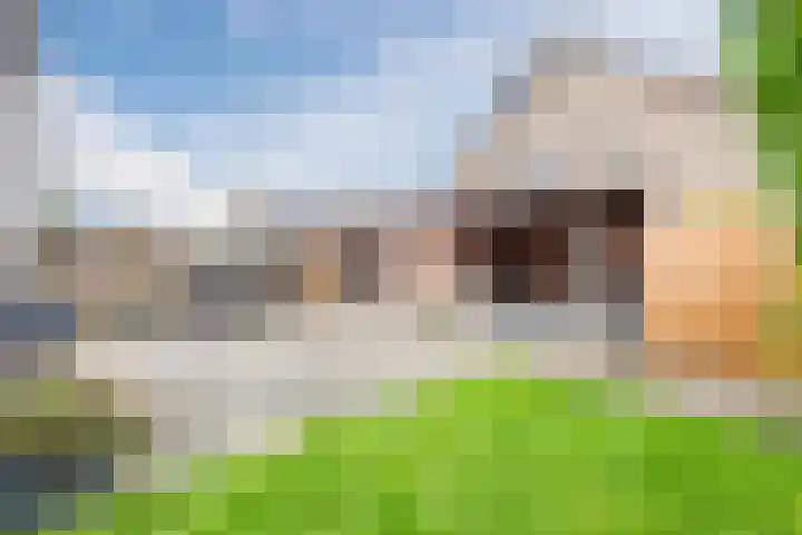 Julianalaan 10 Heerde thumbnail 33