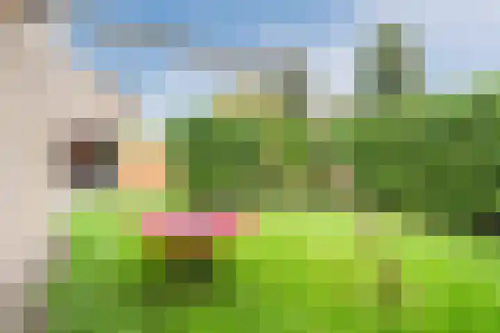 Julianalaan 10 Heerde thumbnail 38