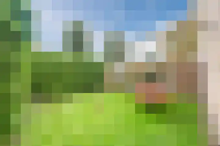 Julianalaan 10 Heerde thumbnail 39