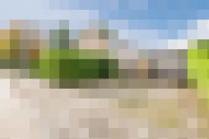 Julianalaan 10 Heerde thumbnail 42
