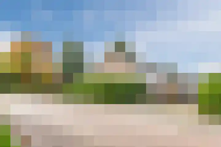 Julianalaan 10 Heerde thumbnail 43