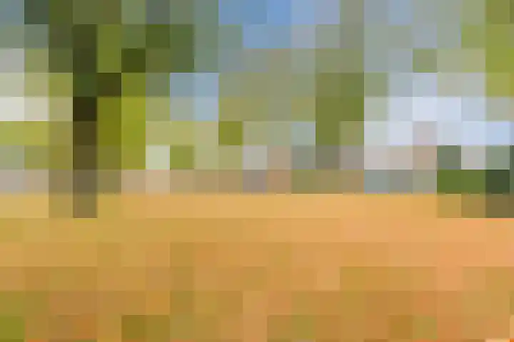 Julianalaan 10 Heerde thumbnail 46