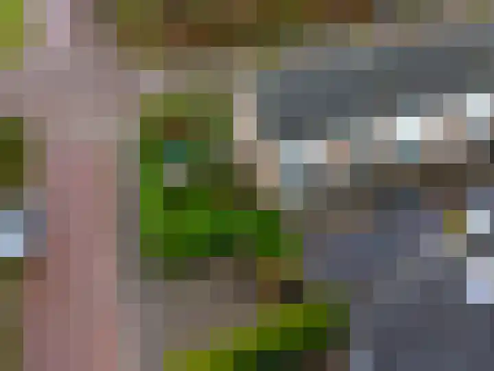 Julianalaan 10 Heerde thumbnail 49